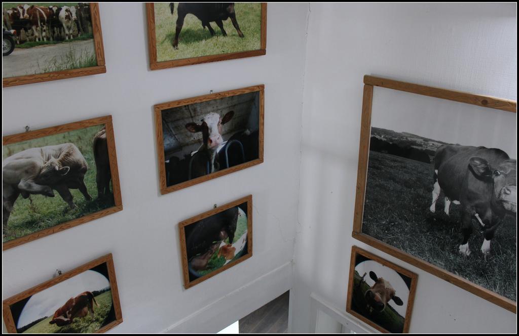 Hotel Artfarm ヴィール エクステリア 写真